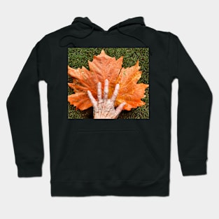 Autumn leaf and hand Hoodie